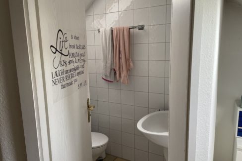 Gäste-WC mit Dusche DG